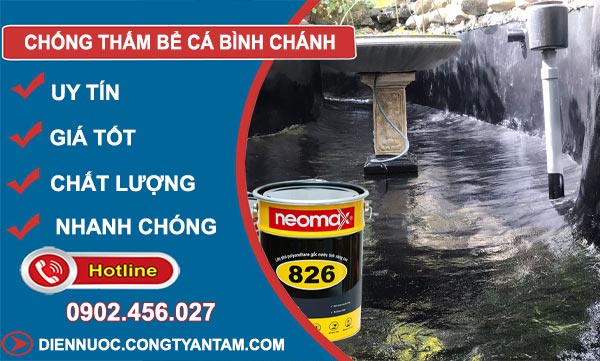 Chống Thấm Bể Cá Bình Chánh