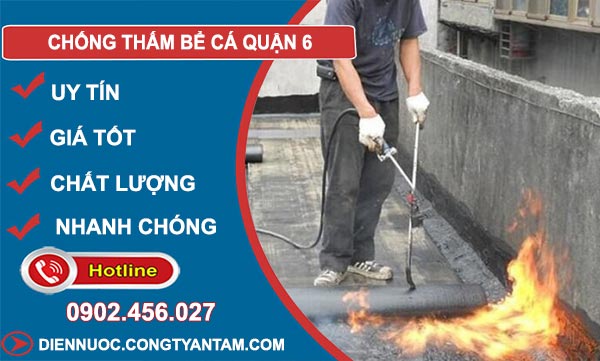 Chống Thấm Bể Cá Tại Quận 6