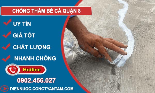 Chống Thấm Bể Cá Tại Quận 8