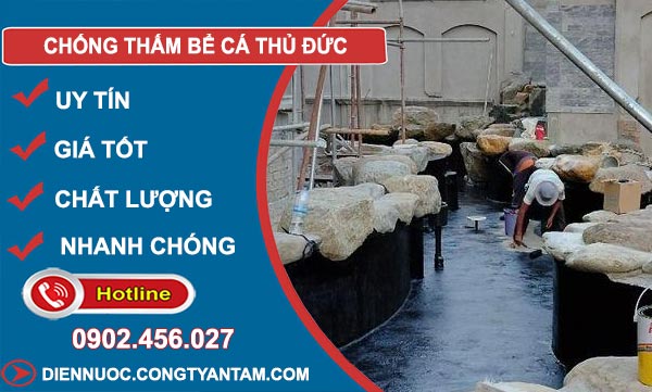 Chống Thấm Bể Cá Thủ Đức